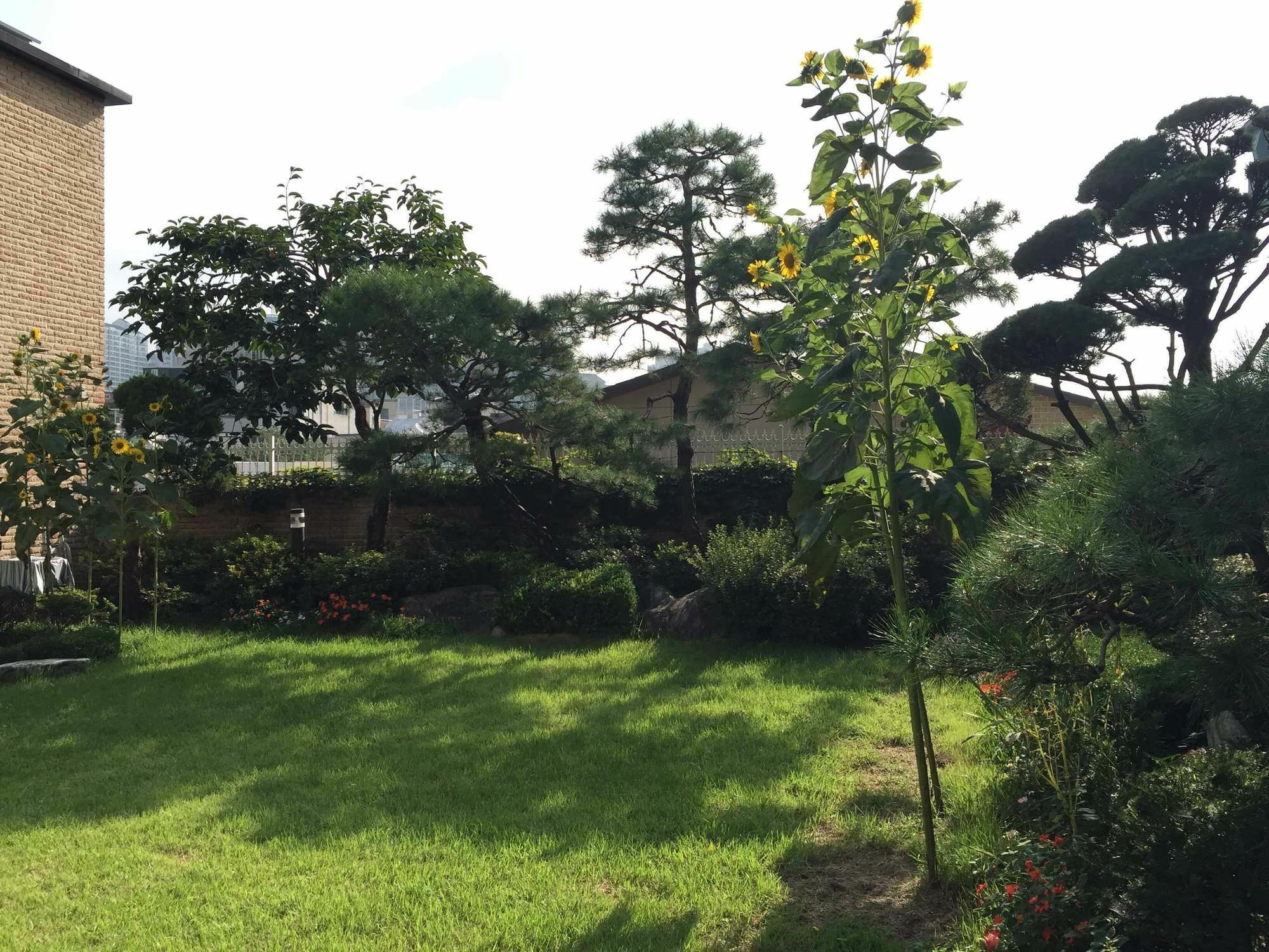 Puzzlestay House Seoul Eksteriør billede